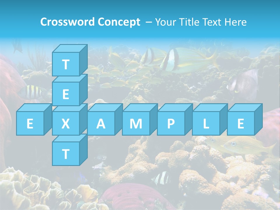 Caribbean Sea Shoal Of Fish Under Sea PowerPoint Template