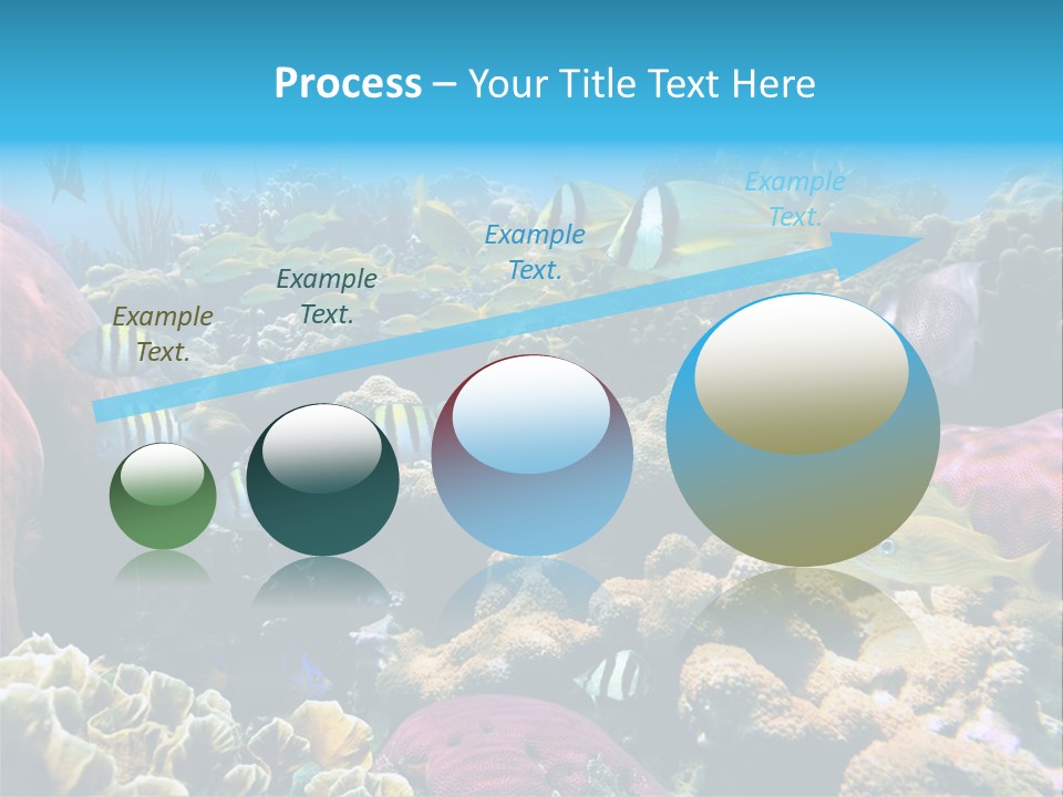 Caribbean Sea Shoal Of Fish Under Sea PowerPoint Template