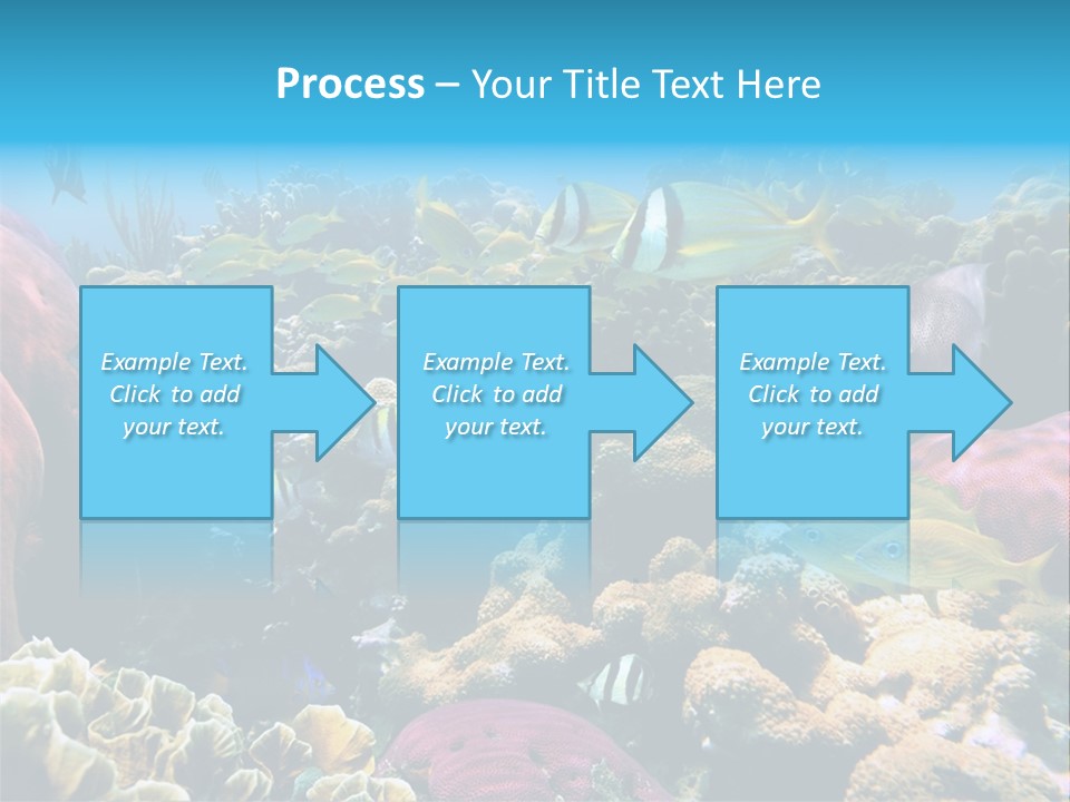 Caribbean Sea Shoal Of Fish Under Sea PowerPoint Template