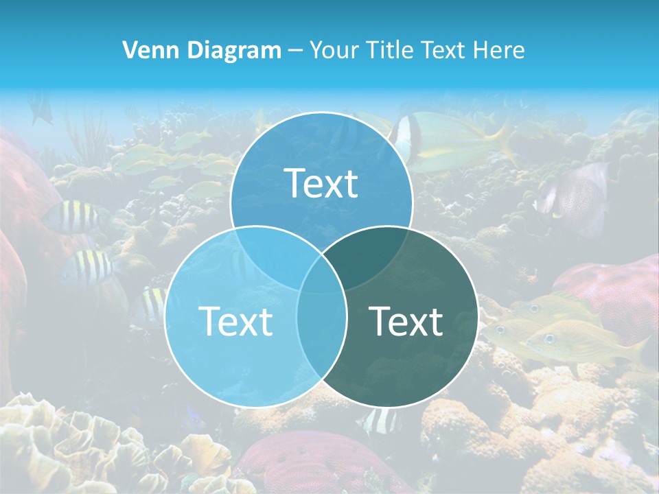 Caribbean Sea Shoal Of Fish Under Sea PowerPoint Template