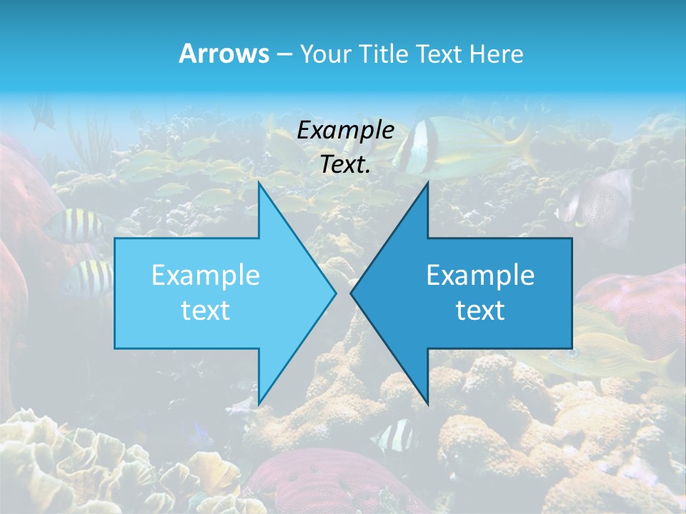 Caribbean Sea Shoal Of Fish Under Sea PowerPoint Template