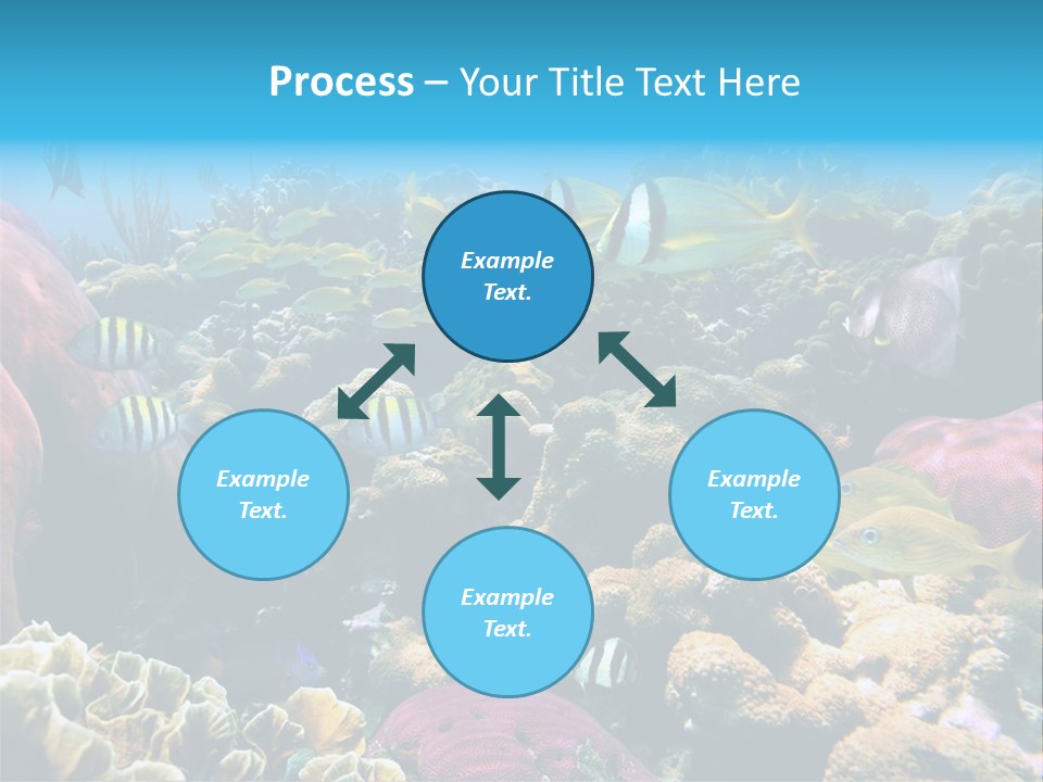 Caribbean Sea Shoal Of Fish Under Sea PowerPoint Template