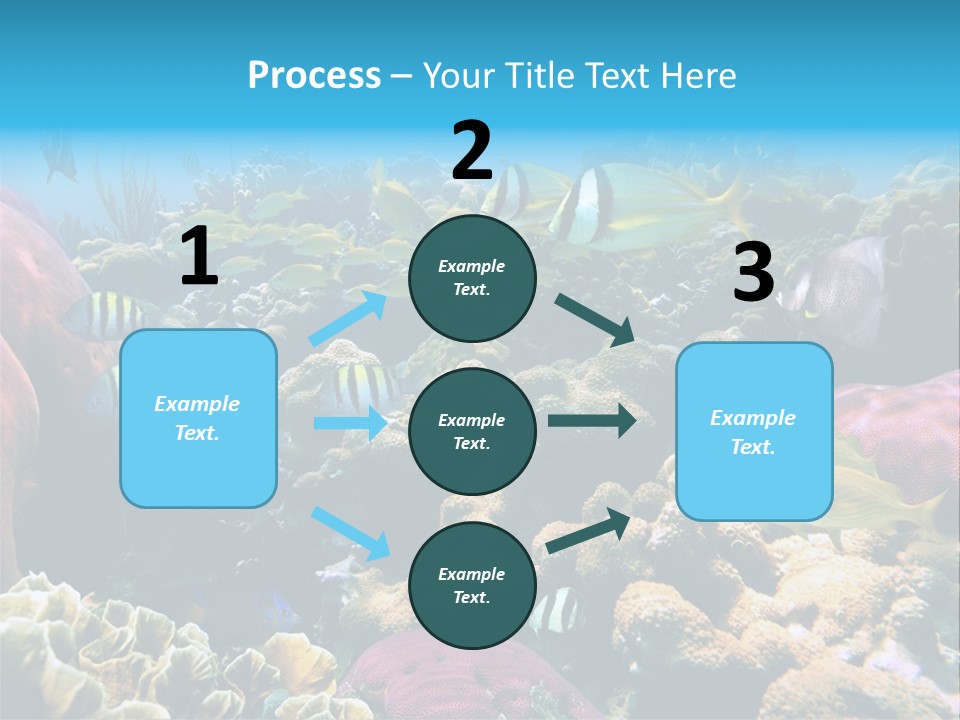 Caribbean Sea Shoal Of Fish Under Sea PowerPoint Template