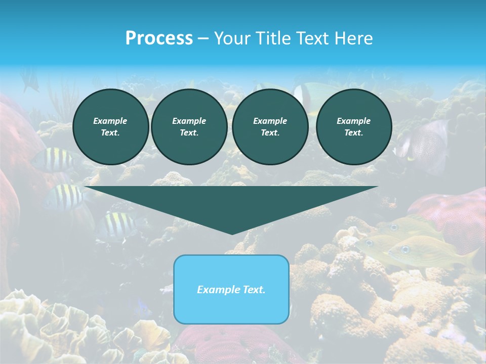 Caribbean Sea Shoal Of Fish Under Sea PowerPoint Template