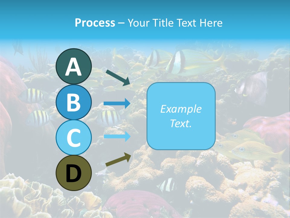 Caribbean Sea Shoal Of Fish Under Sea PowerPoint Template