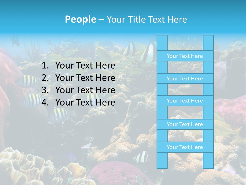 Caribbean Sea Shoal Of Fish Under Sea PowerPoint Template