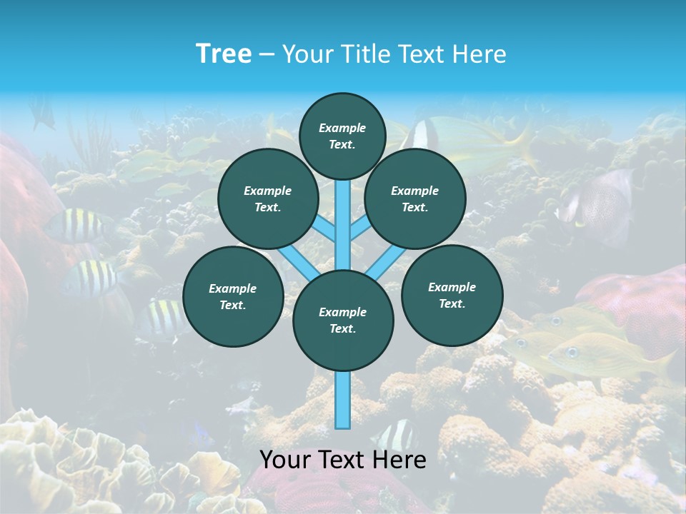 Caribbean Sea Shoal Of Fish Under Sea PowerPoint Template