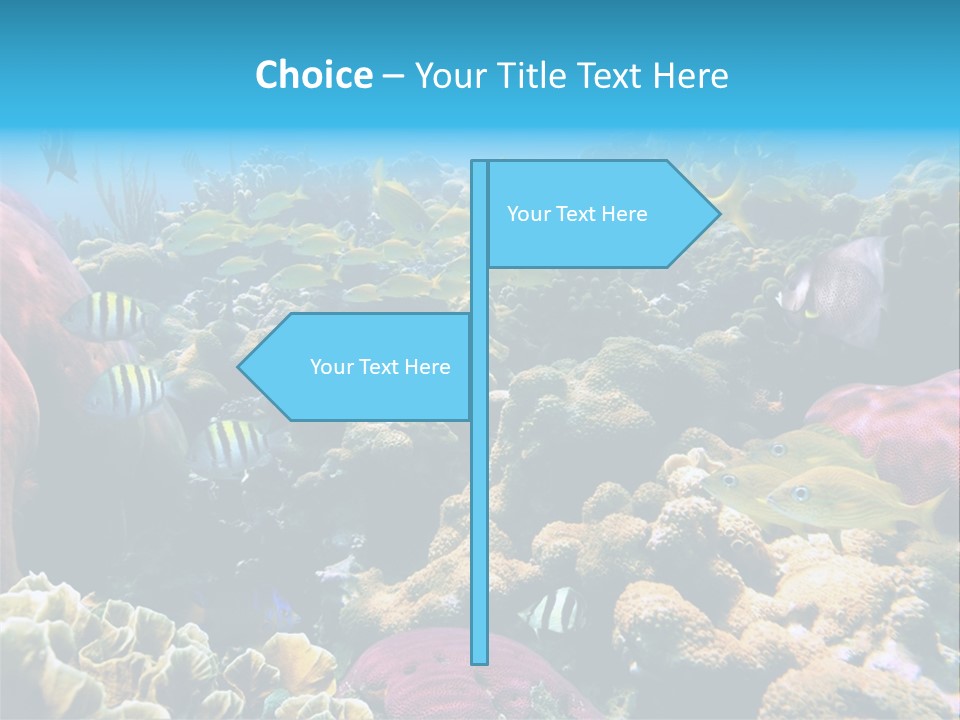 Caribbean Sea Shoal Of Fish Under Sea PowerPoint Template