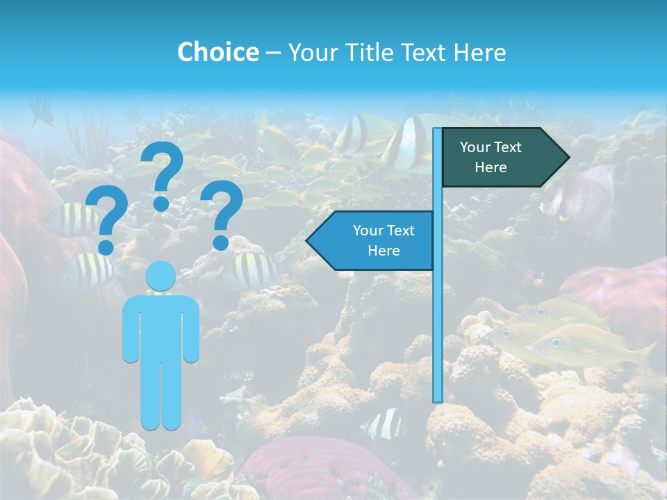 Caribbean Sea Shoal Of Fish Under Sea PowerPoint Template