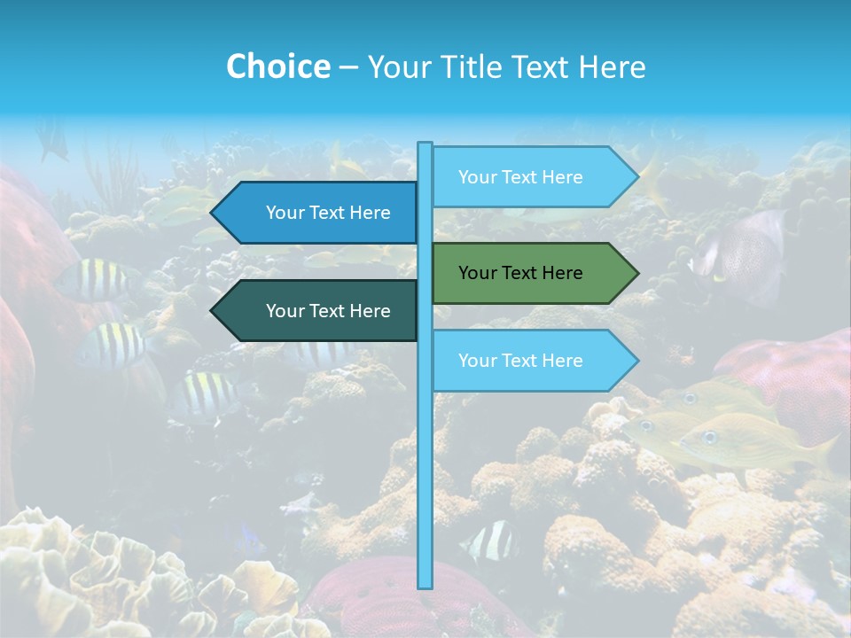 Caribbean Sea Shoal Of Fish Under Sea PowerPoint Template
