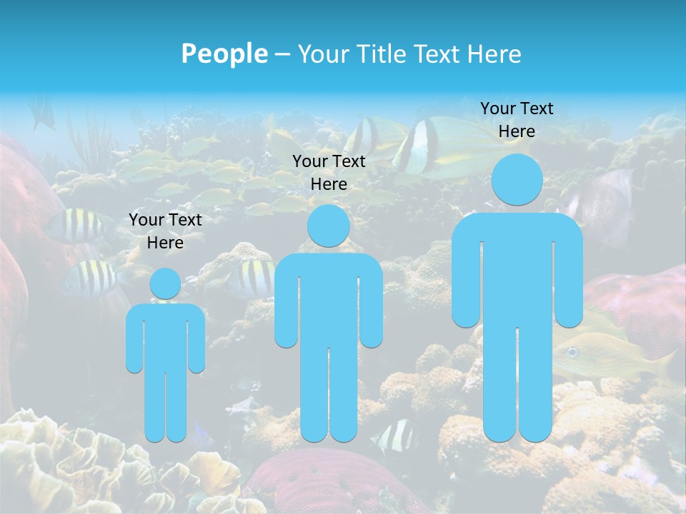 Caribbean Sea Shoal Of Fish Under Sea PowerPoint Template