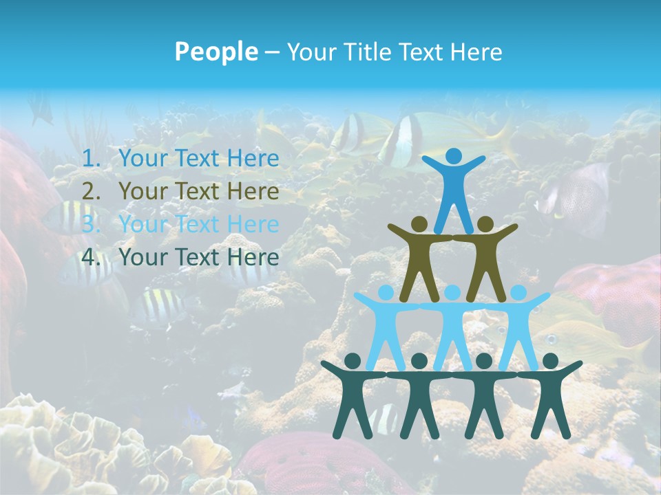 Caribbean Sea Shoal Of Fish Under Sea PowerPoint Template