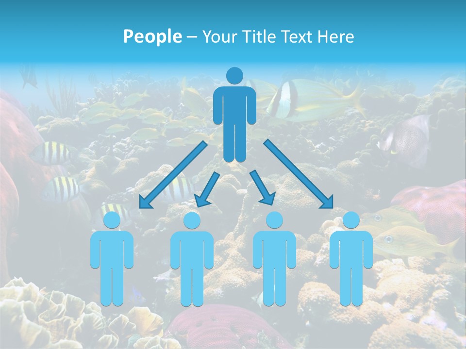 Caribbean Sea Shoal Of Fish Under Sea PowerPoint Template