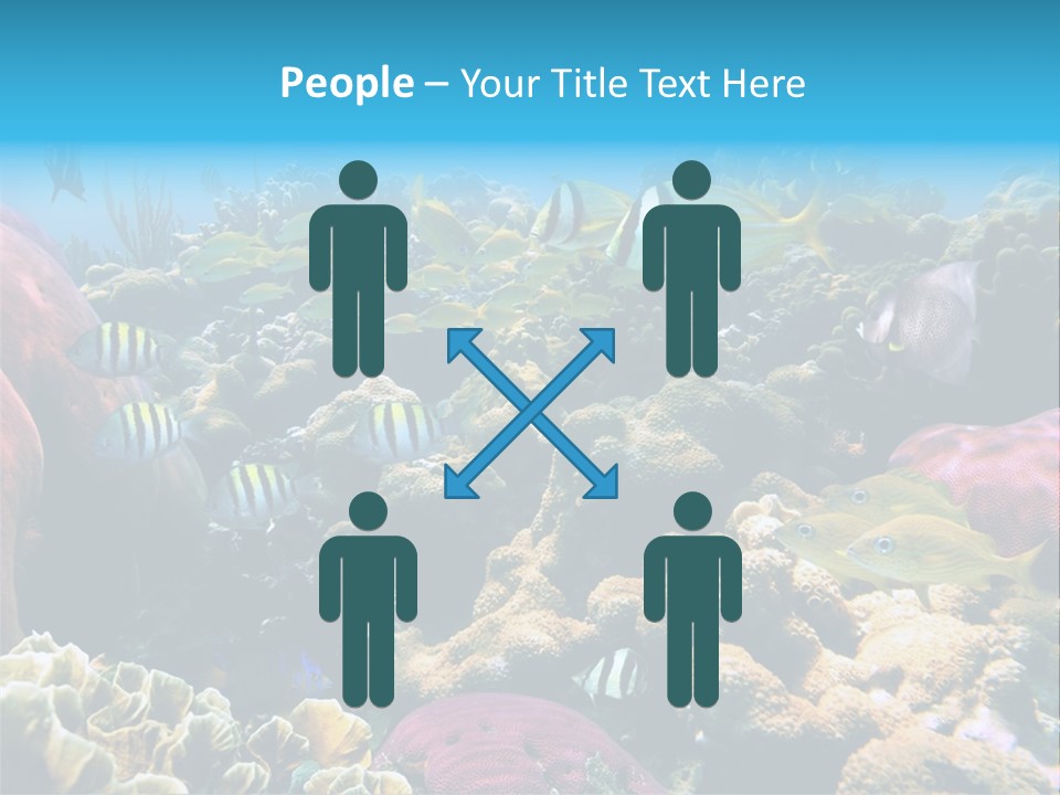 Caribbean Sea Shoal Of Fish Under Sea PowerPoint Template