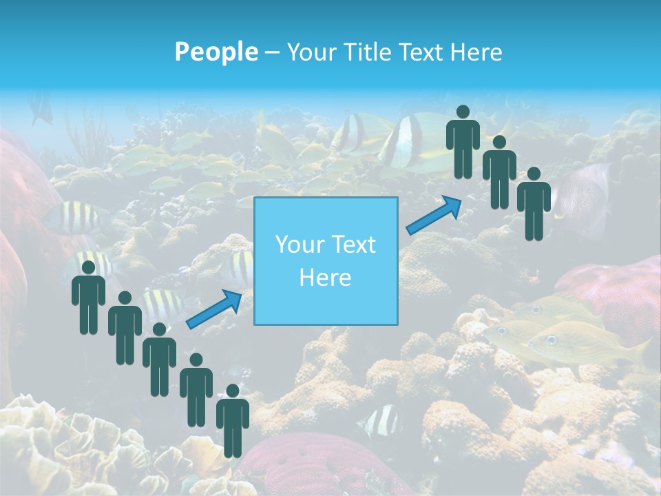 Caribbean Sea Shoal Of Fish Under Sea PowerPoint Template