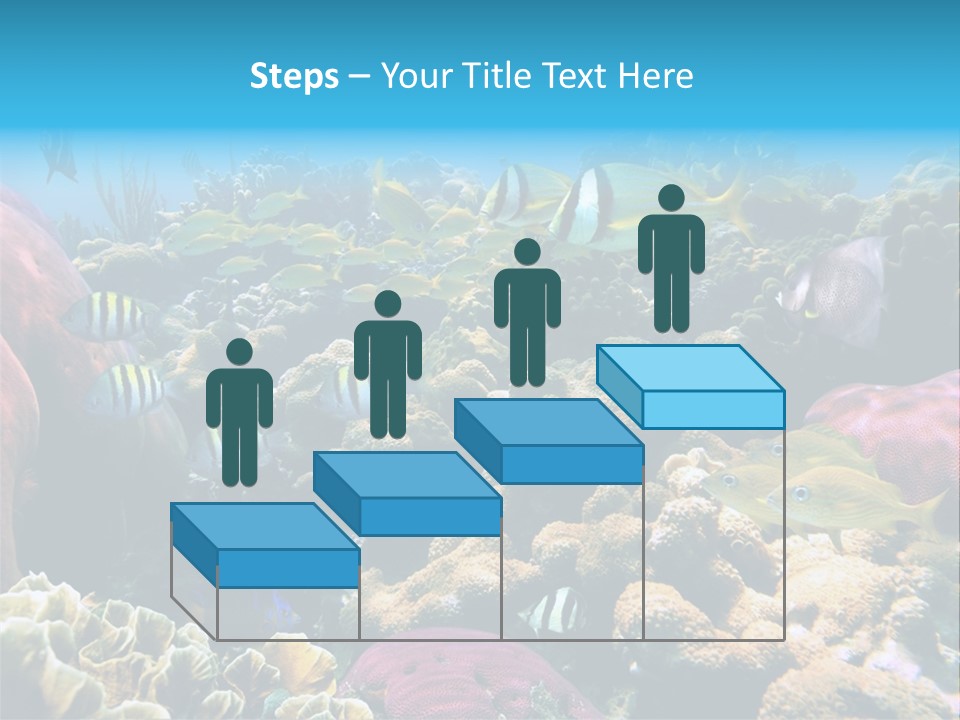 Caribbean Sea Shoal Of Fish Under Sea PowerPoint Template