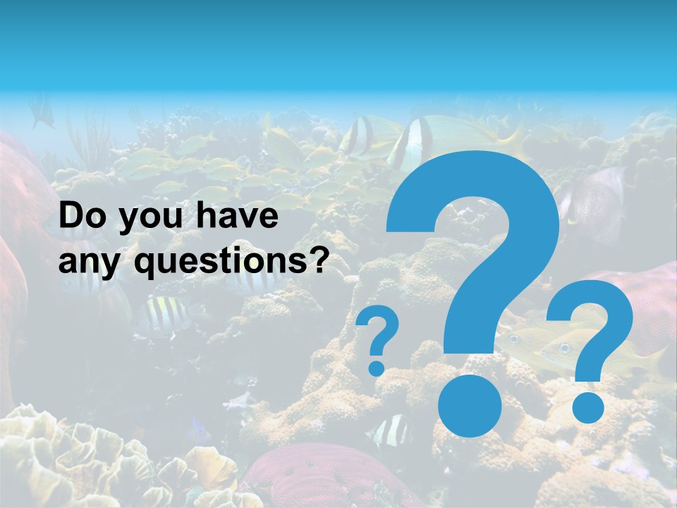 Caribbean Sea Shoal Of Fish Under Sea PowerPoint Template