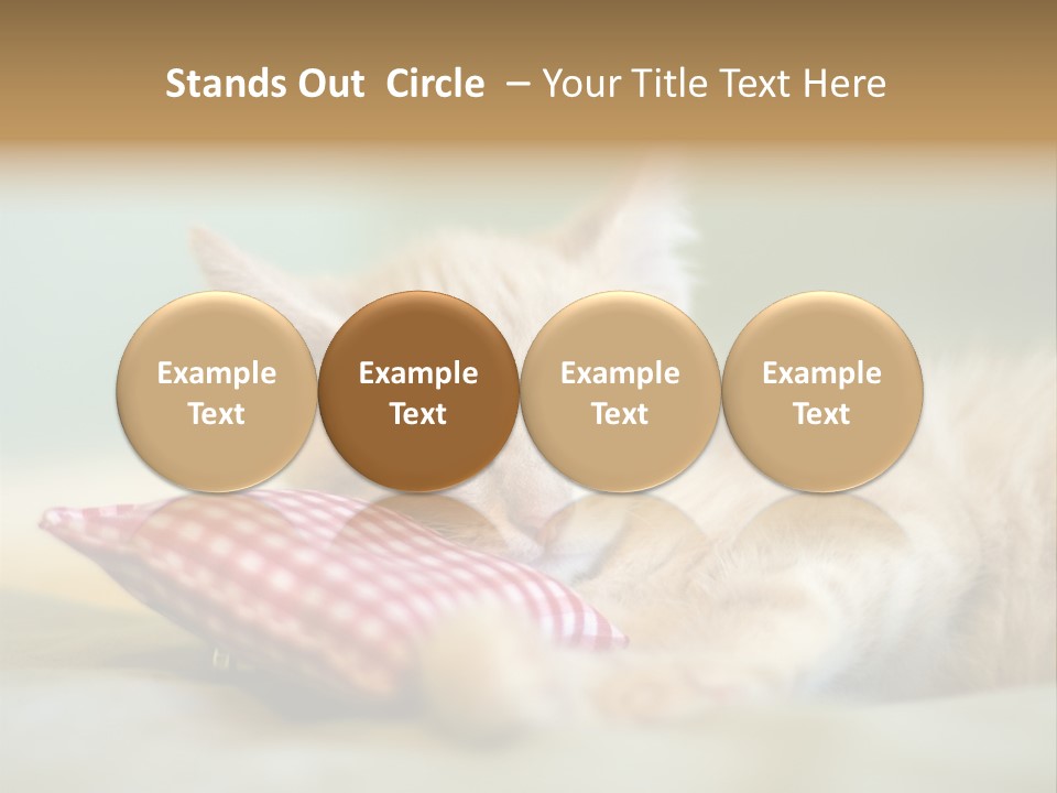 Bedding Background Comfortable PowerPoint Template