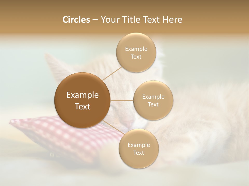 Bedding Background Comfortable PowerPoint Template