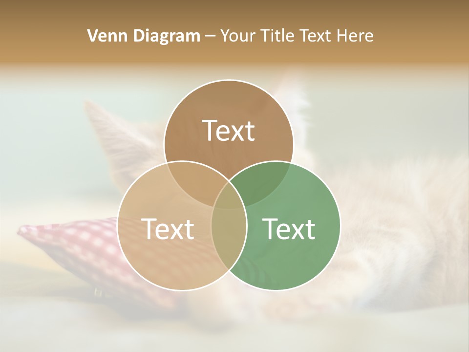 Bedding Background Comfortable PowerPoint Template