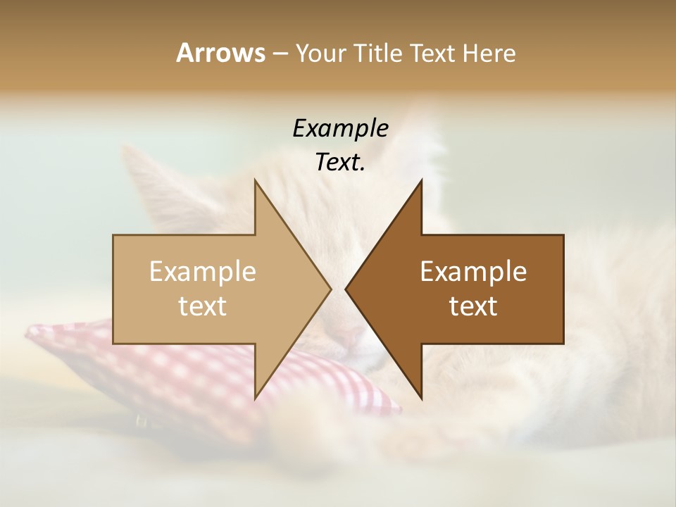 Bedding Background Comfortable PowerPoint Template