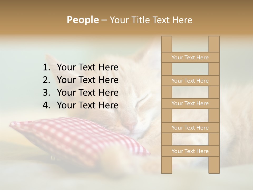 Bedding Background Comfortable PowerPoint Template