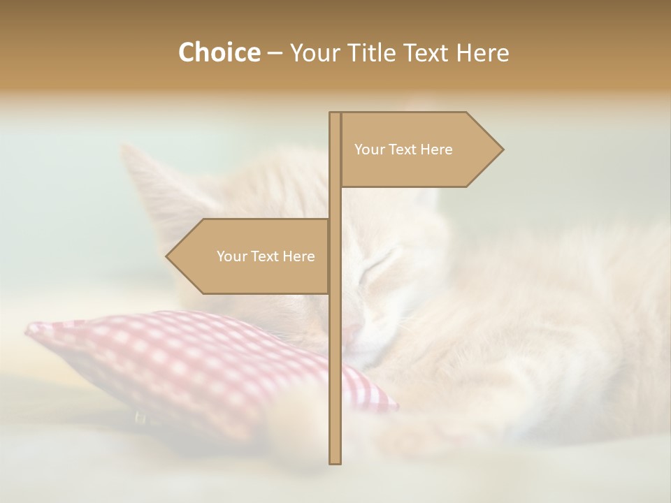 Bedding Background Comfortable PowerPoint Template