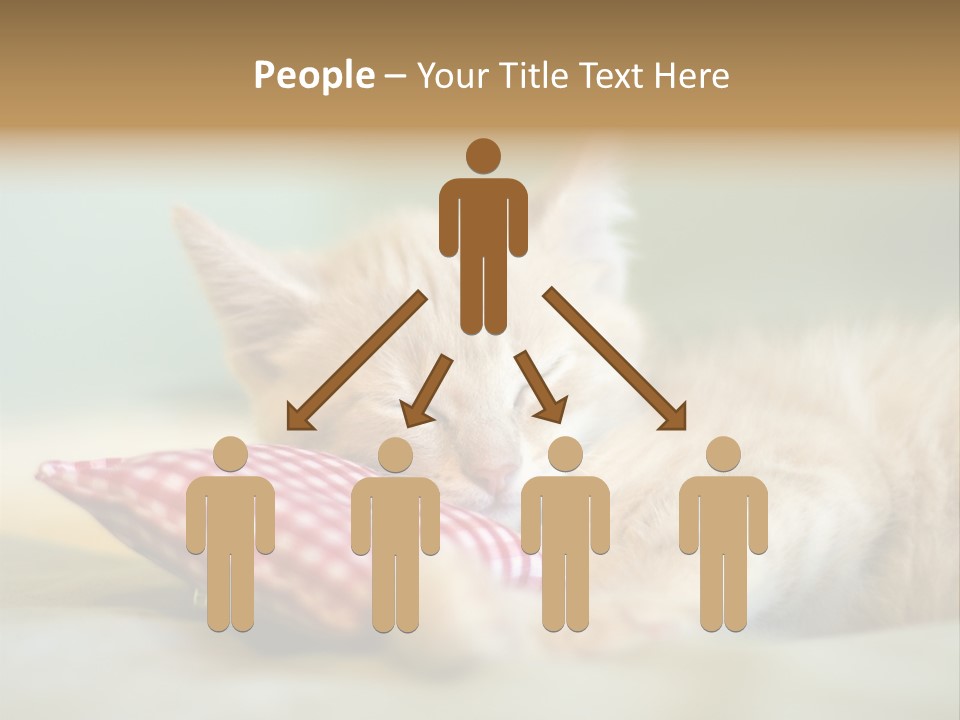 Bedding Background Comfortable PowerPoint Template