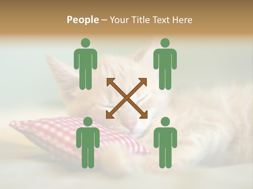 Bedding Background Comfortable PowerPoint Template