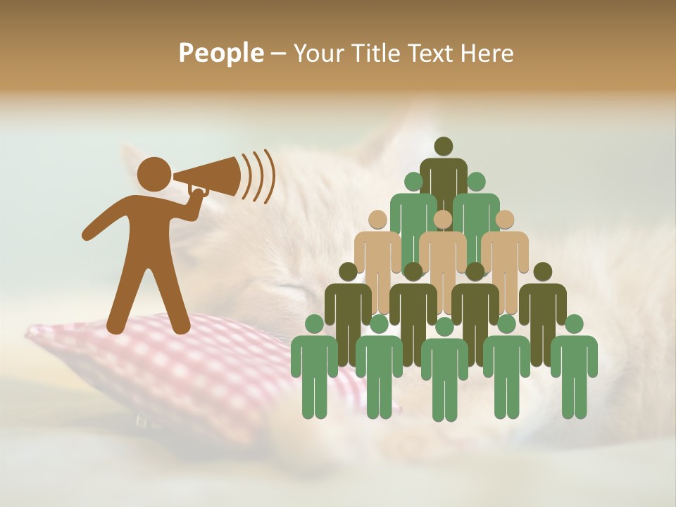 Bedding Background Comfortable PowerPoint Template