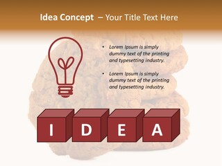 White Background Oates Aussie PowerPoint Template