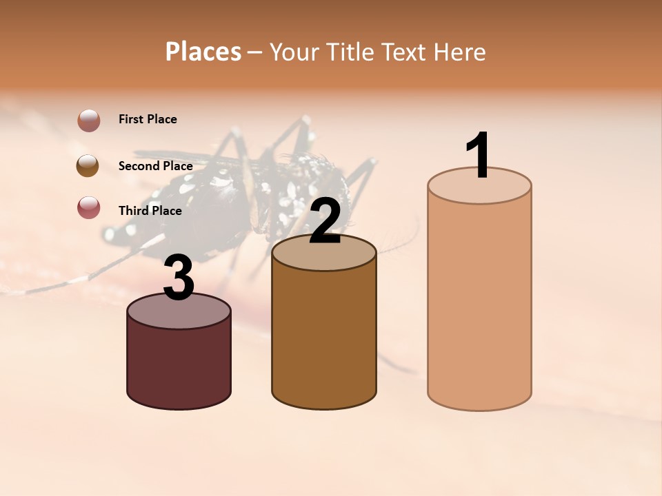 Medicine Black Aedes PowerPoint Template