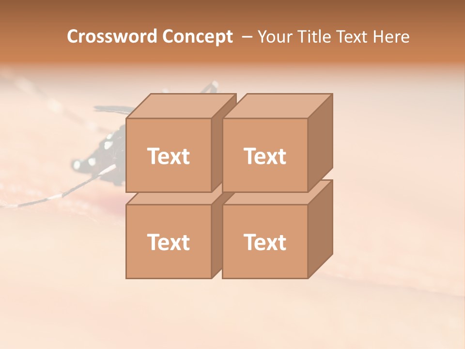Medicine Black Aedes PowerPoint Template