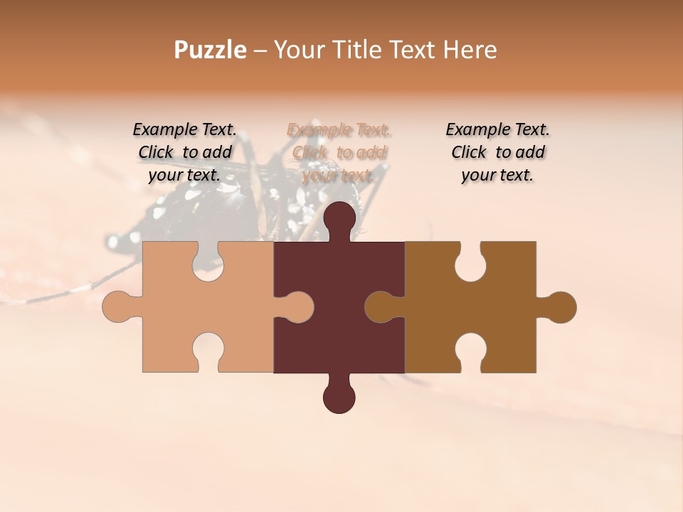 Medicine Black Aedes PowerPoint Template