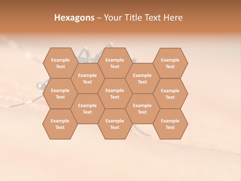 Medicine Black Aedes PowerPoint Template