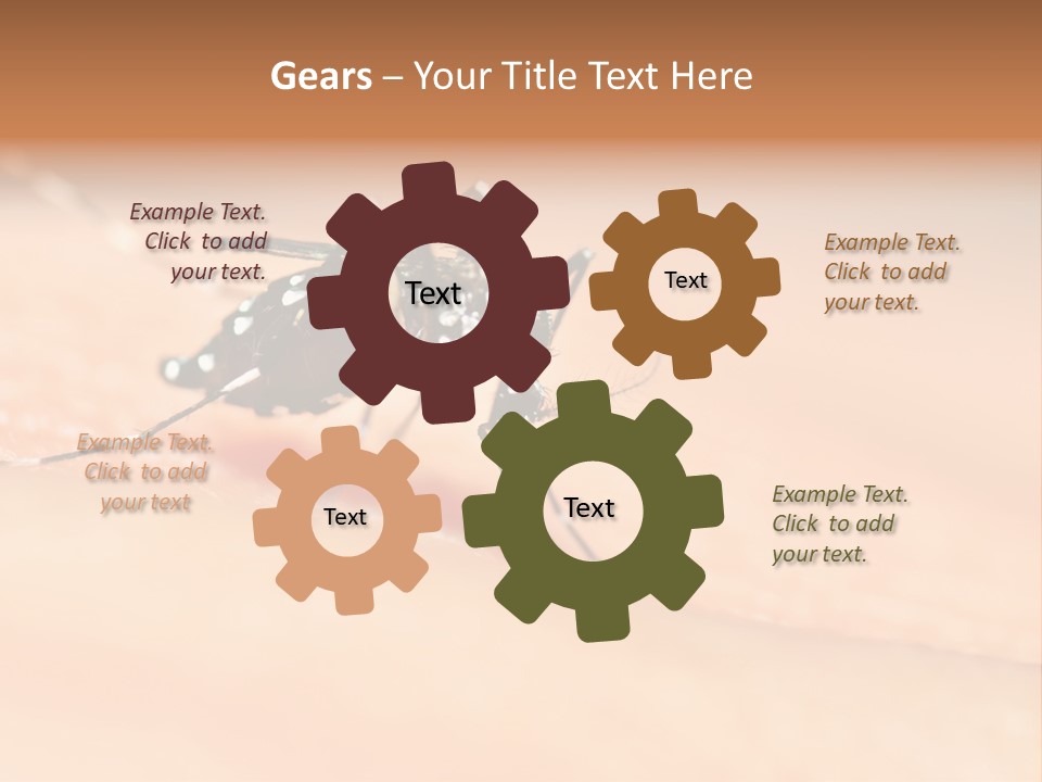 Medicine Black Aedes PowerPoint Template