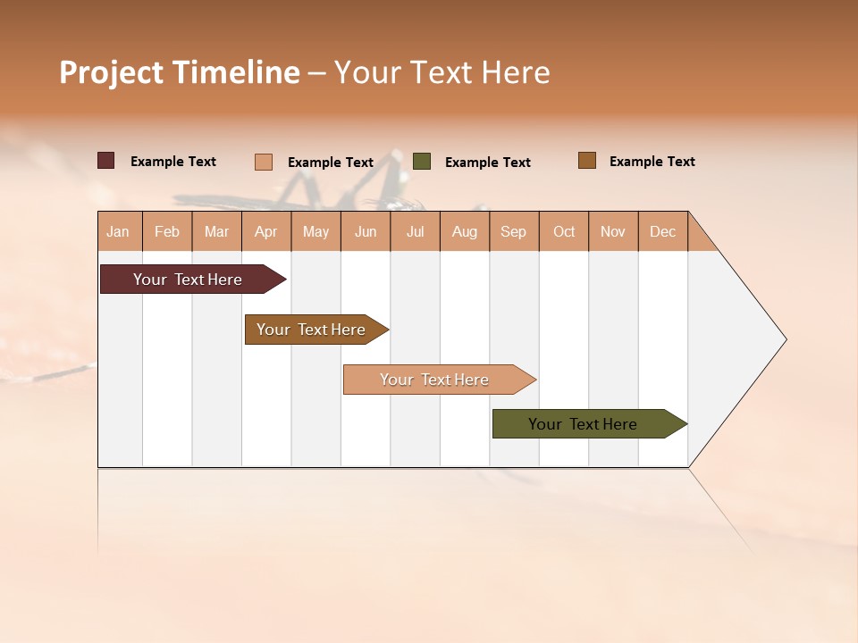 Medicine Black Aedes PowerPoint Template