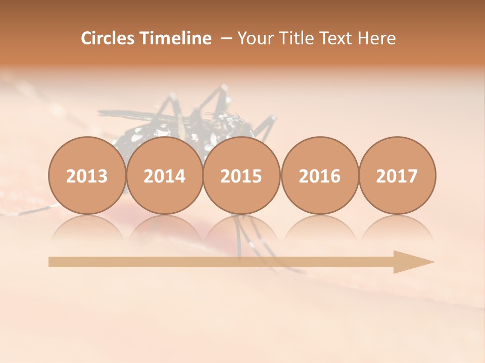 Medicine Black Aedes PowerPoint Template