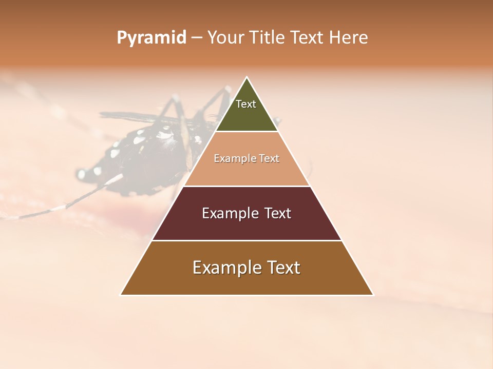 Medicine Black Aedes PowerPoint Template