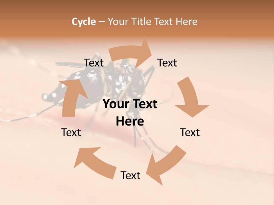 Medicine Black Aedes PowerPoint Template