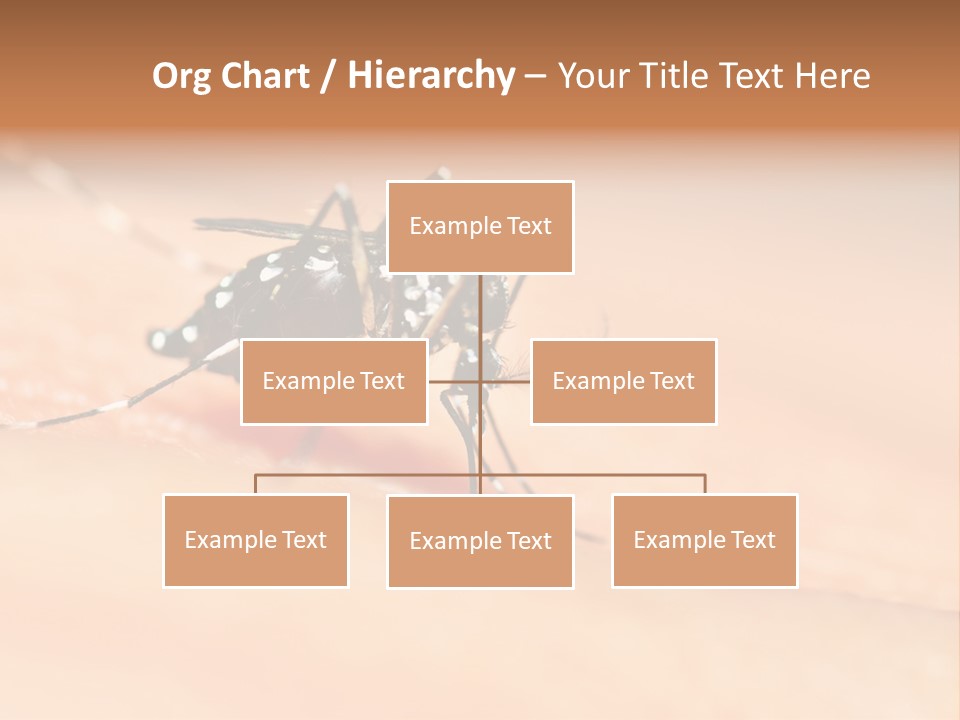 Medicine Black Aedes PowerPoint Template