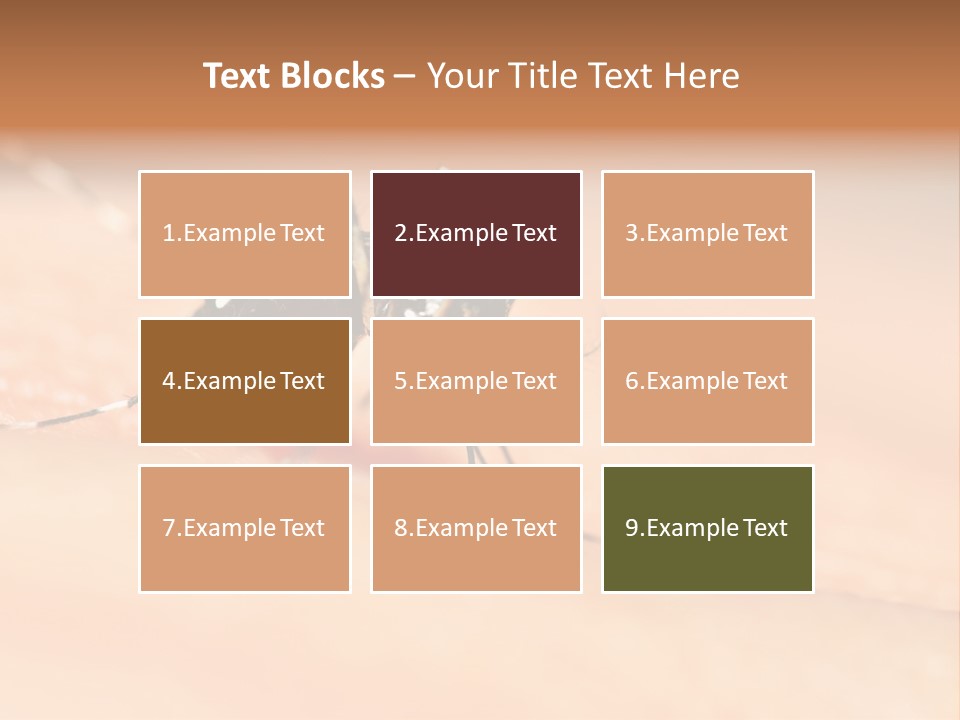 Medicine Black Aedes PowerPoint Template