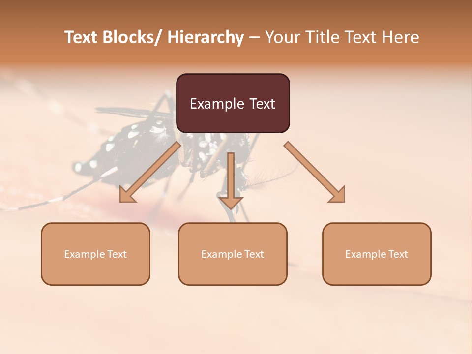 Medicine Black Aedes PowerPoint Template