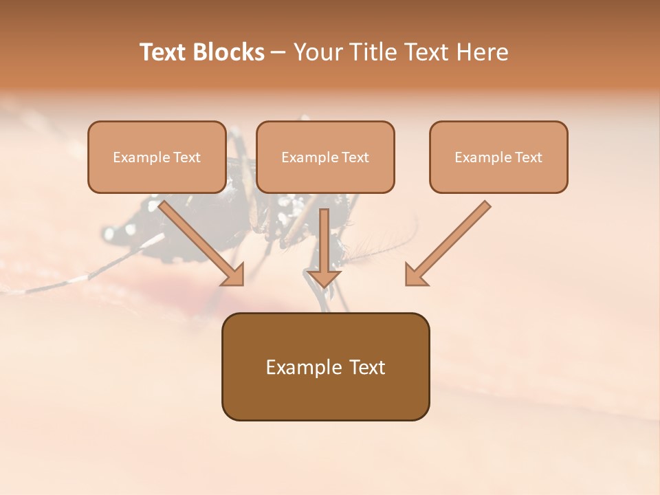 Medicine Black Aedes PowerPoint Template