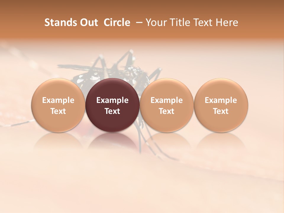 Medicine Black Aedes PowerPoint Template