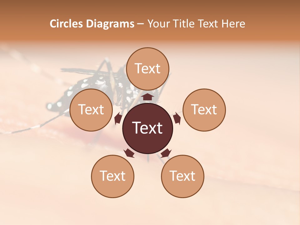 Medicine Black Aedes PowerPoint Template