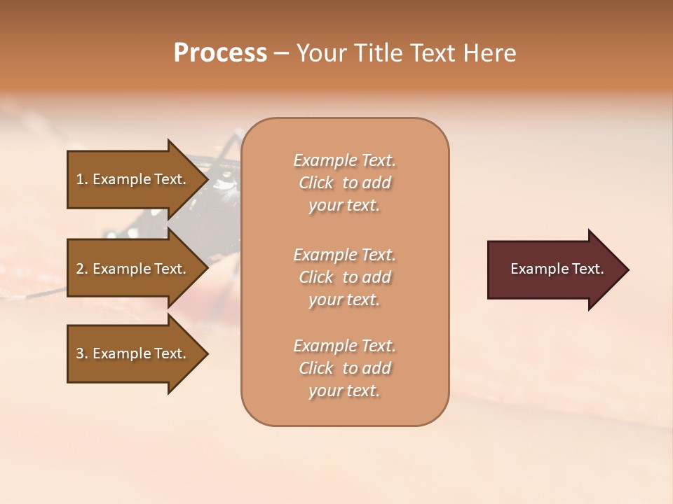 Medicine Black Aedes PowerPoint Template