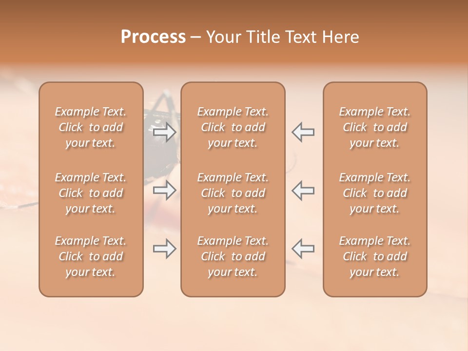 Medicine Black Aedes PowerPoint Template