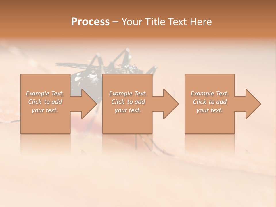 Medicine Black Aedes PowerPoint Template