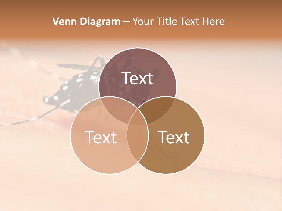 Medicine Black Aedes PowerPoint Template